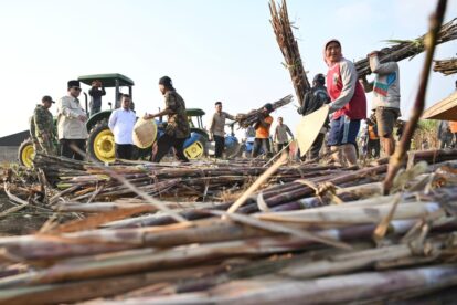Presiden Prabowo Subianto meminta pihak-pihak yang menilai harga beras terlalu mahal untuk merasakan langsung menjadi petani dengan menanam padi